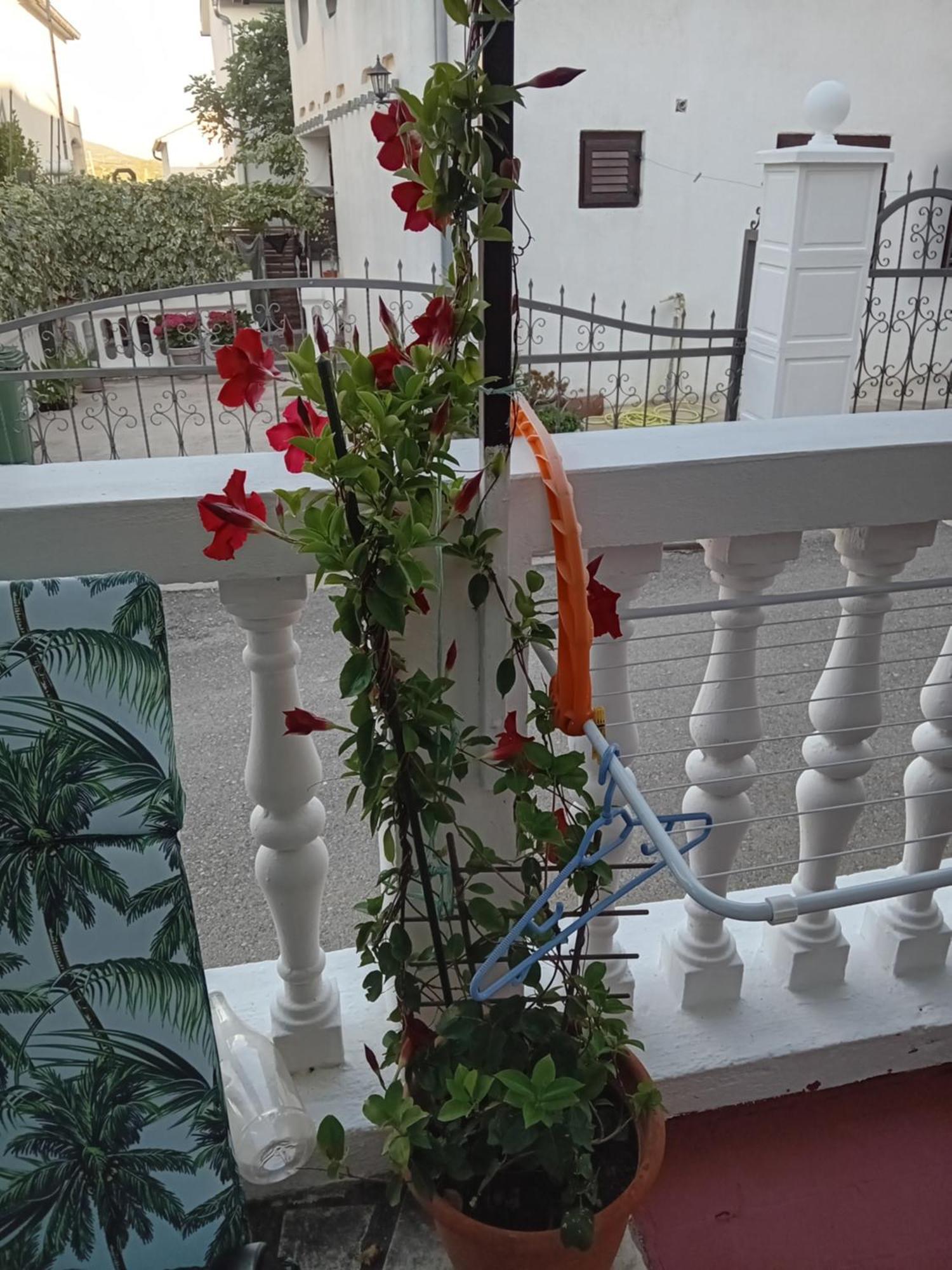 Apartments Vendi Σίμπενικ Εξωτερικό φωτογραφία